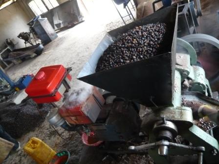 palm-nut-crusher Palm Nut Crushing Machine