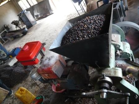 Palm Nut Crushing Machine