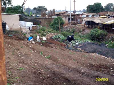 shamba1 Clearing land of garbage