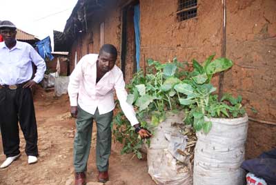 vertical-garden Like the key hole garden of Swaziland, this veggie patch serves a family on a tiny piece of land