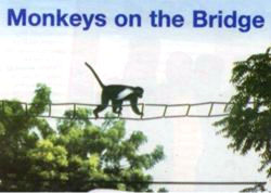 colobus21 Colous on the Bridge